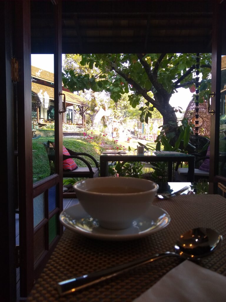 Cup against tropical backdrop.