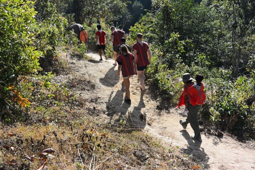 Several people walking a jungle trail.