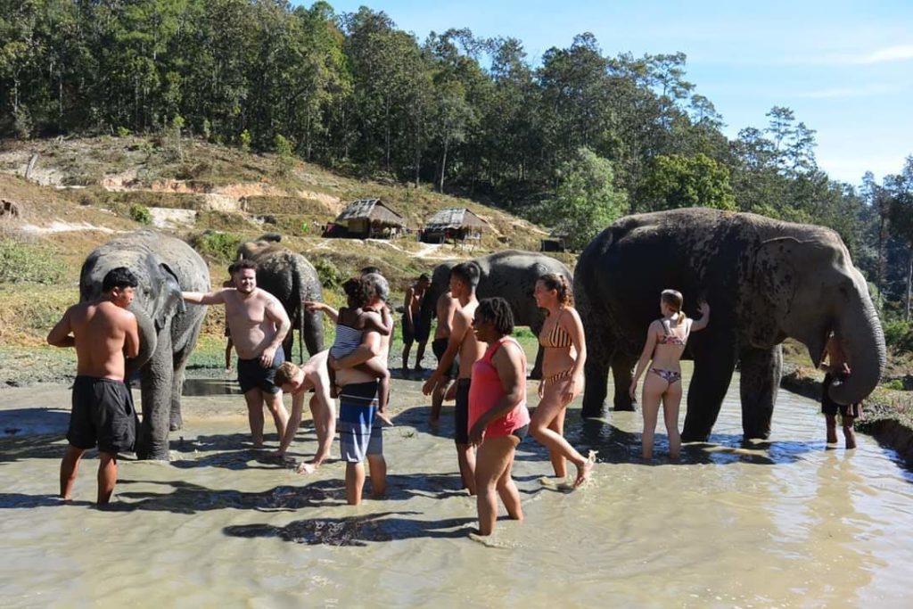 People and elephants in a mud wallow. 